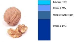 Fat ratio in a walnut