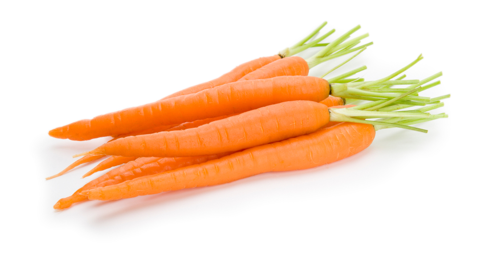 carrot-nutrition-facts
