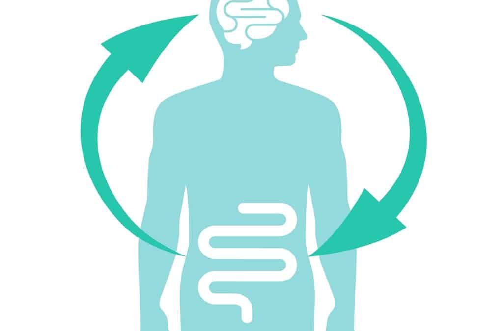 Gut-Brain Connection