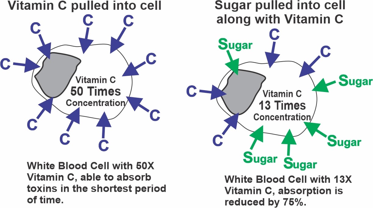 Sugar consumption and immune function