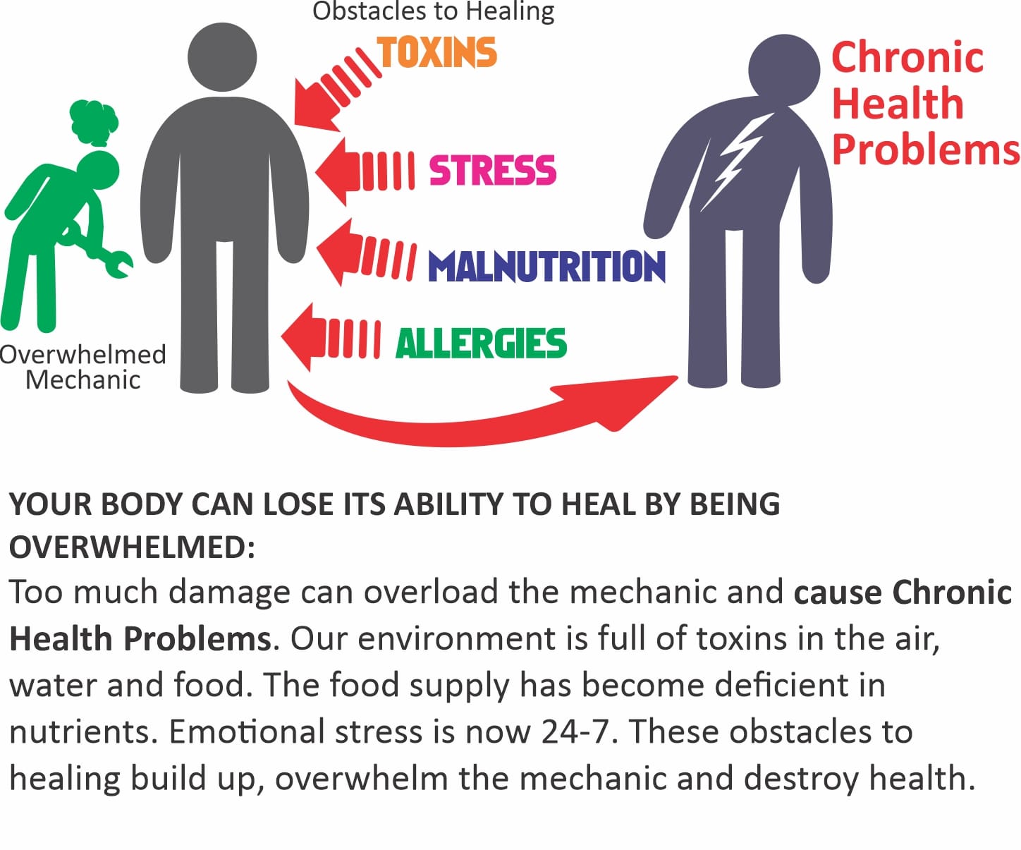 https://alternativehealthatlanta.com/wp-content/uploads/2020/03/BodyAssistantDiagram3.jpg