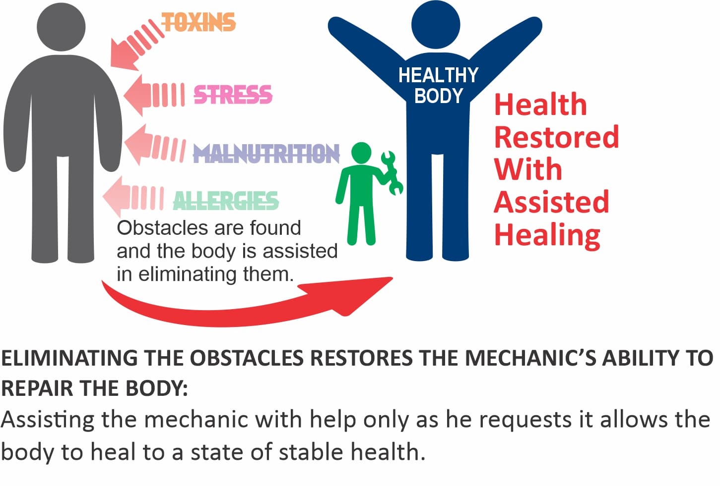 https://alternativehealthatlanta.com/wp-content/uploads/2020/03/BodyAssistantDiagram4.jpg