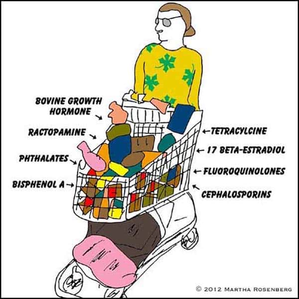 The Villain of the Piece: Endocrine Disruptors