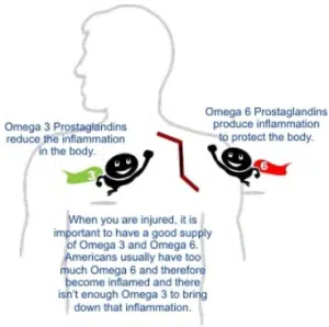 Prostaglandins Omega-3