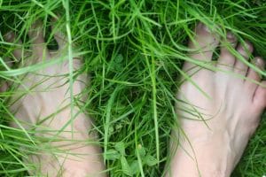 Grounding barefoot in grass