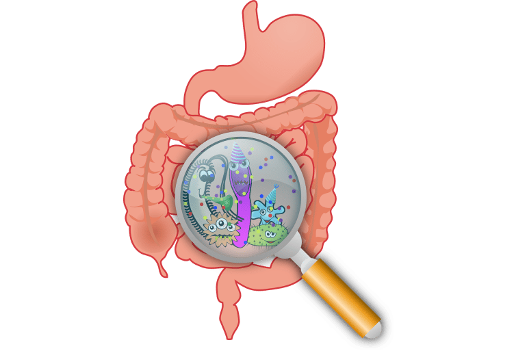 SIBO: Overlooked Cause of Digestive Distress