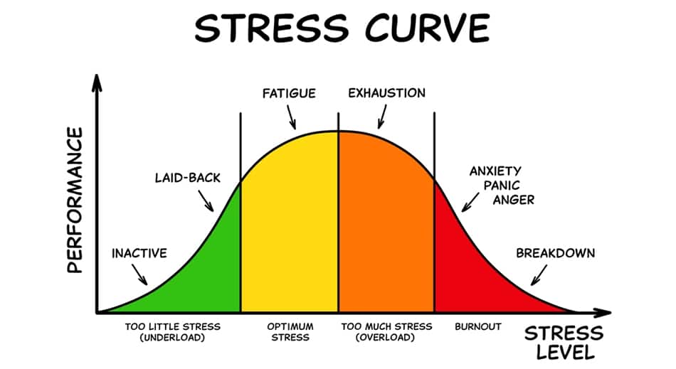 Stress Curve Graph